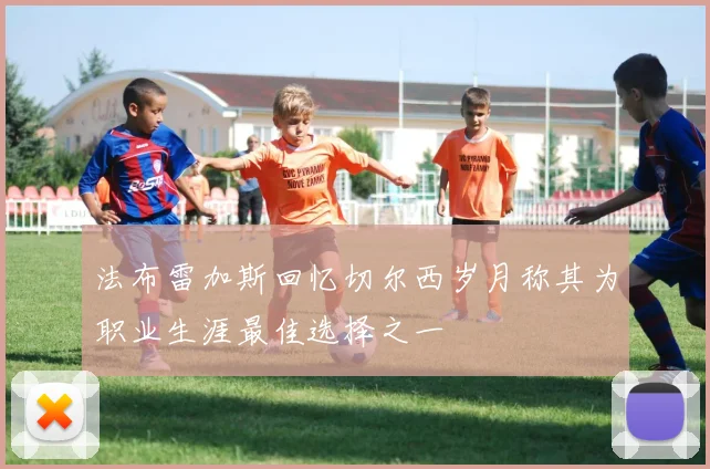 法布雷加斯回忆切尔西岁月称其为职业生涯最佳选择之一