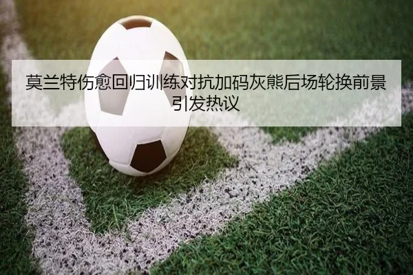 莫兰特伤愈回归训练对抗加码灰熊后场轮换前景引发热议